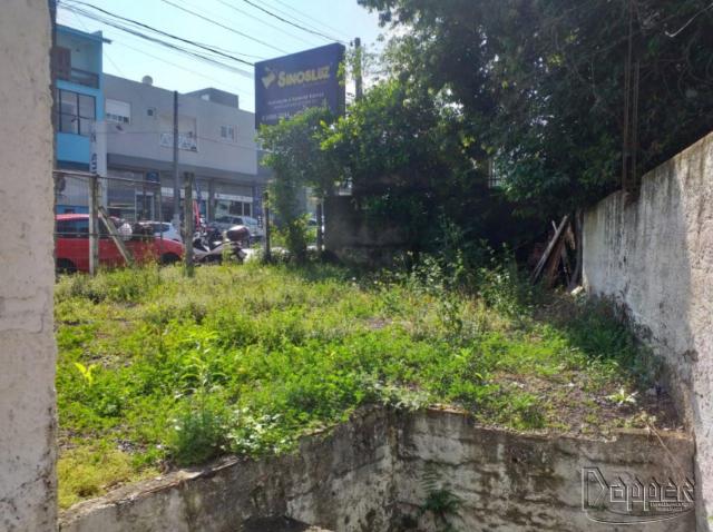 Casa para alugar com 1 dormitórios em Rincão, Novo hamburgo cod:59 - Foto 5