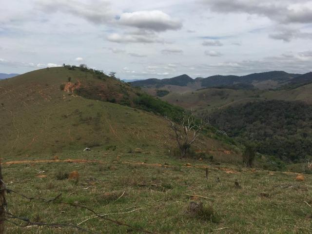 Venda-se está fazenda de 250 alqueires no Município de Fervedouro/MG - Foto 9