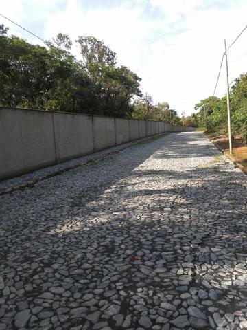 LOTE no Liberdade