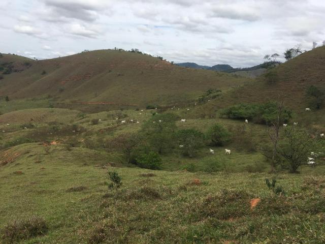 Venda-se está fazenda de 250 alqueires no Município de Fervedouro/MG - Foto 10