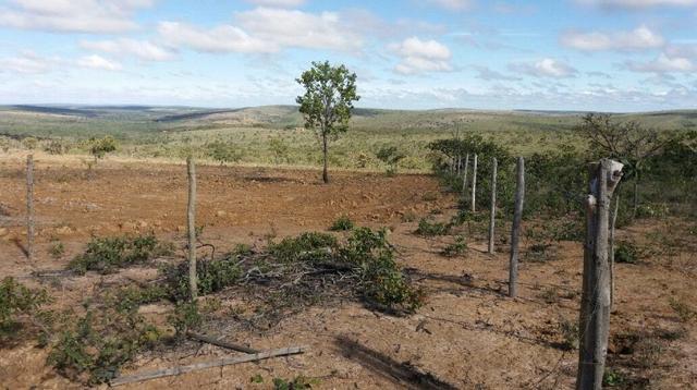 Chacra 10.000 mil metros.Vale a pena conferir - Foto 2