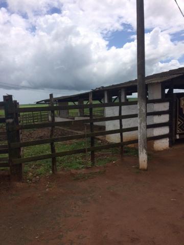 Fazenda-Granja-Sítio com 21 Hectares em Aliança - Foto 2