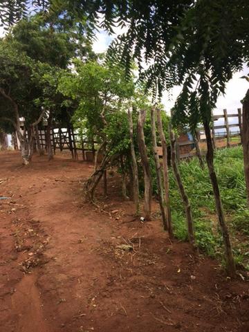 Fazenda-Granja-Sítio com 21 Hectares em Aliança - Foto 15