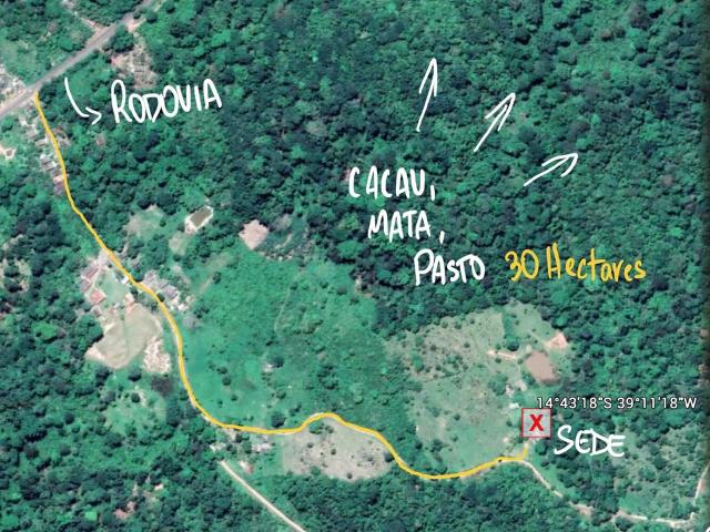 Fazenda de cacau em Ilhéus Bahia na RODOVIA DO CHOCOLATE / Super oportunidade - Foto 11