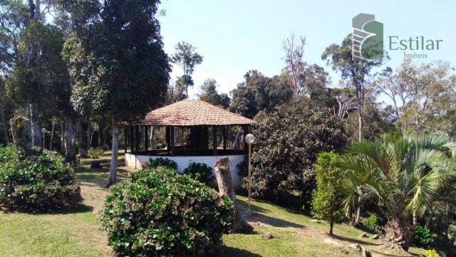 Chácara no campestre da faxina, são josé dos pinhais. - Foto 8