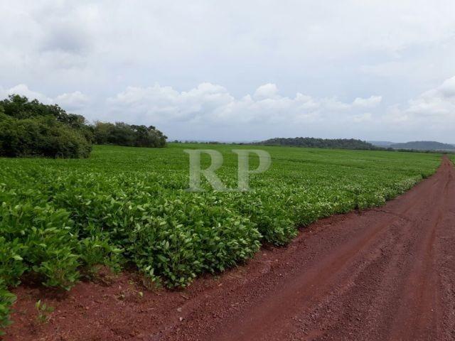 Fazenda 2006 Hectares em Tocantis - Foto 7