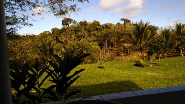 Fazenda Rov Ilhéus-Buararema - Foto 3