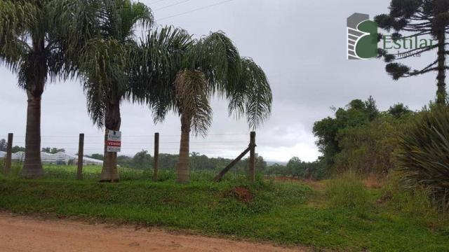 Terreno na colônia murici em são josé dos pinhais. - Foto 3