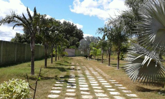 Vendo chácara em Ribamar fiquene !!!a 50k de Imperatriz - Foto 7