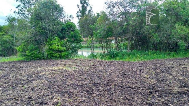 Chácara no campo largo da roseira, são josé dos pinhais. - Foto 16