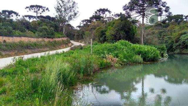 Chácara no campo largo da roseira, são josé dos pinhais. - Foto 3