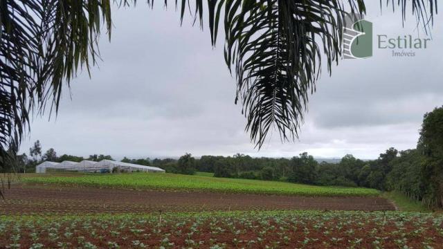 Terreno na colônia murici em são josé dos pinhais. - Foto 12
