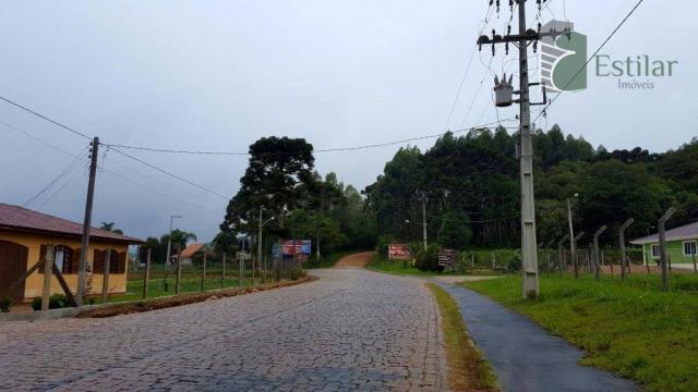 Terreno na colônia murici em são josé dos pinhais. - Foto 16