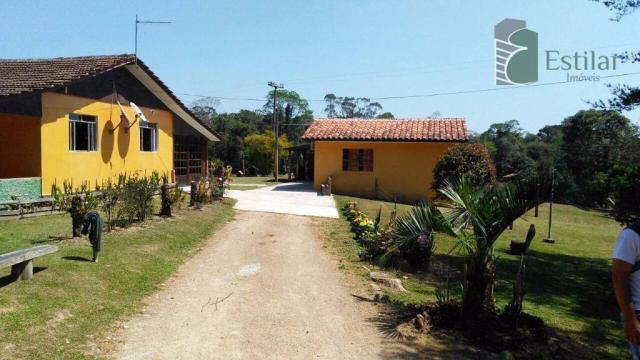 Chácara no campestre da faxina, são josé dos pinhais. - Foto 2
