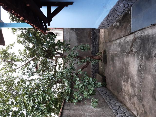 Vendo imóvel contato * - Foto 3