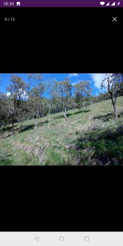 Vendo terreno a 7 kilomentro do centro de Santa Leopoldina fica e em Bragança