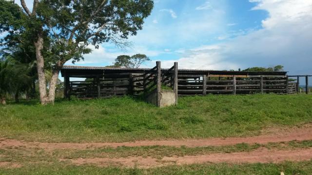 Fazenda de 300 alqueires em cavalcante go - Foto 4
