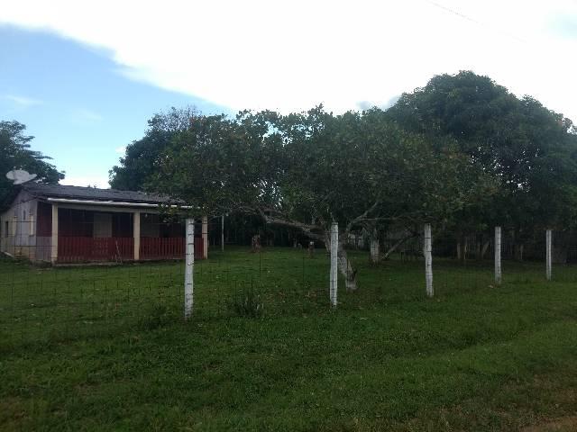 Troco ou vendo chácara - Foto 12