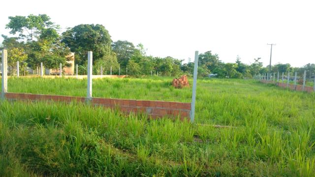 Terreno grande - Foto 5