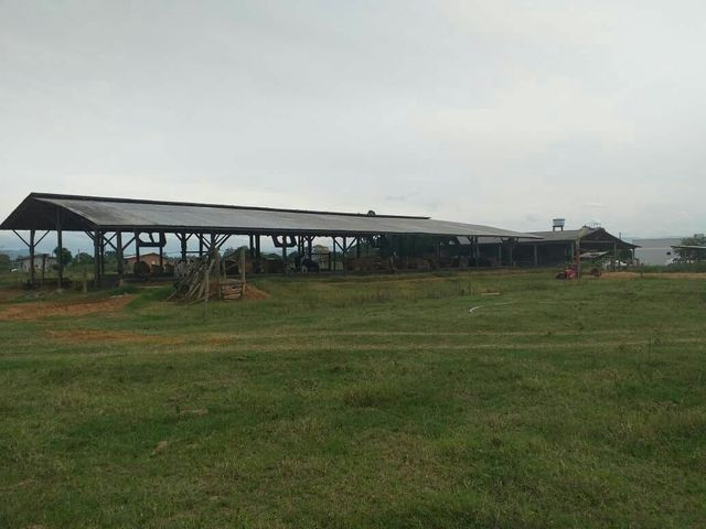 Terreno rural - Foto 5