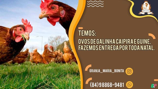 Ovos caipira; Granja Caipira Maria Bonita