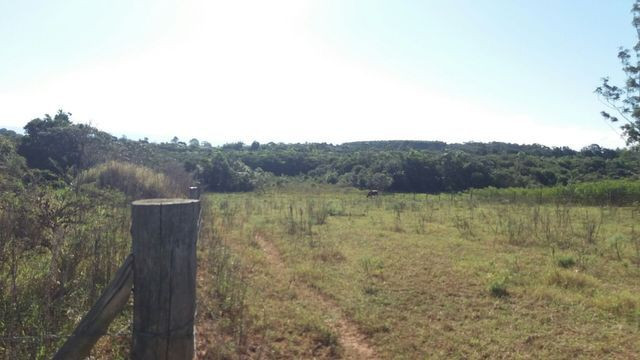 Terreno rural - Foto 7