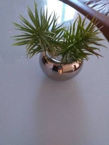 Mini arranjo - Foto 2
