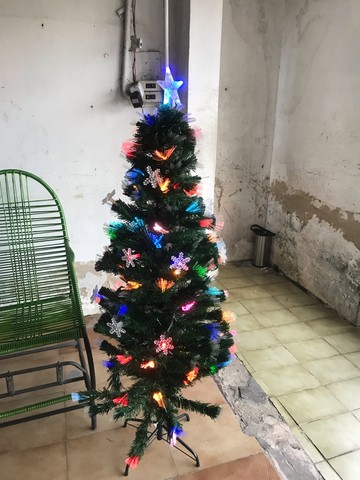 Arvore led | +514 anúncios na OLX Brasil Arvore led | +514 anúncios na OLX Brasil