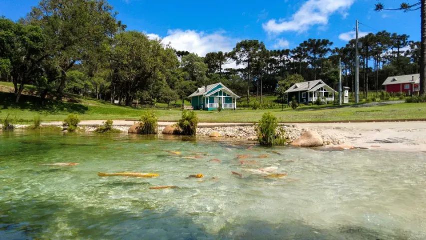 Foto - Florianópolis - Jardim Atlântico
