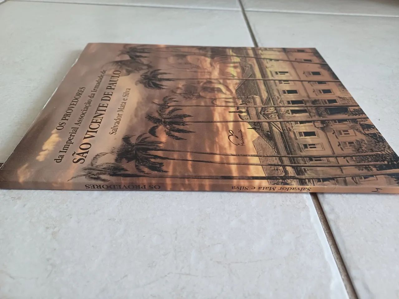 Livro Os Provedores da Irmandade de São Vicente de Paulo - Foto 2