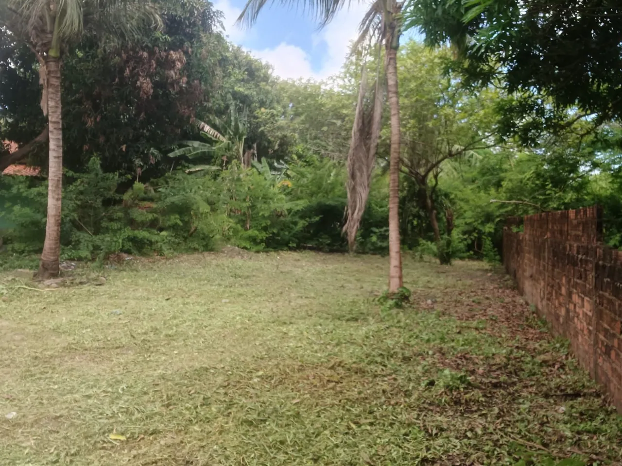Terreno