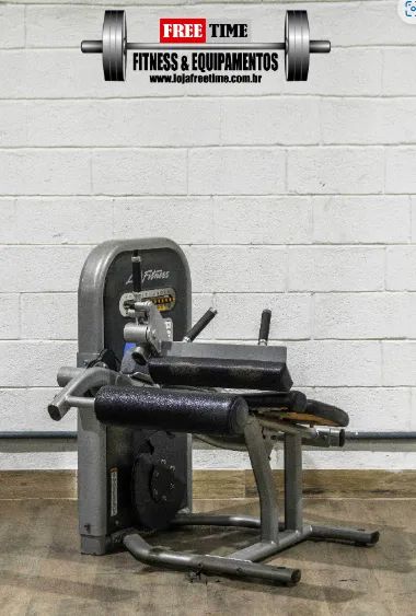 Cadeira flexora life fitness usado