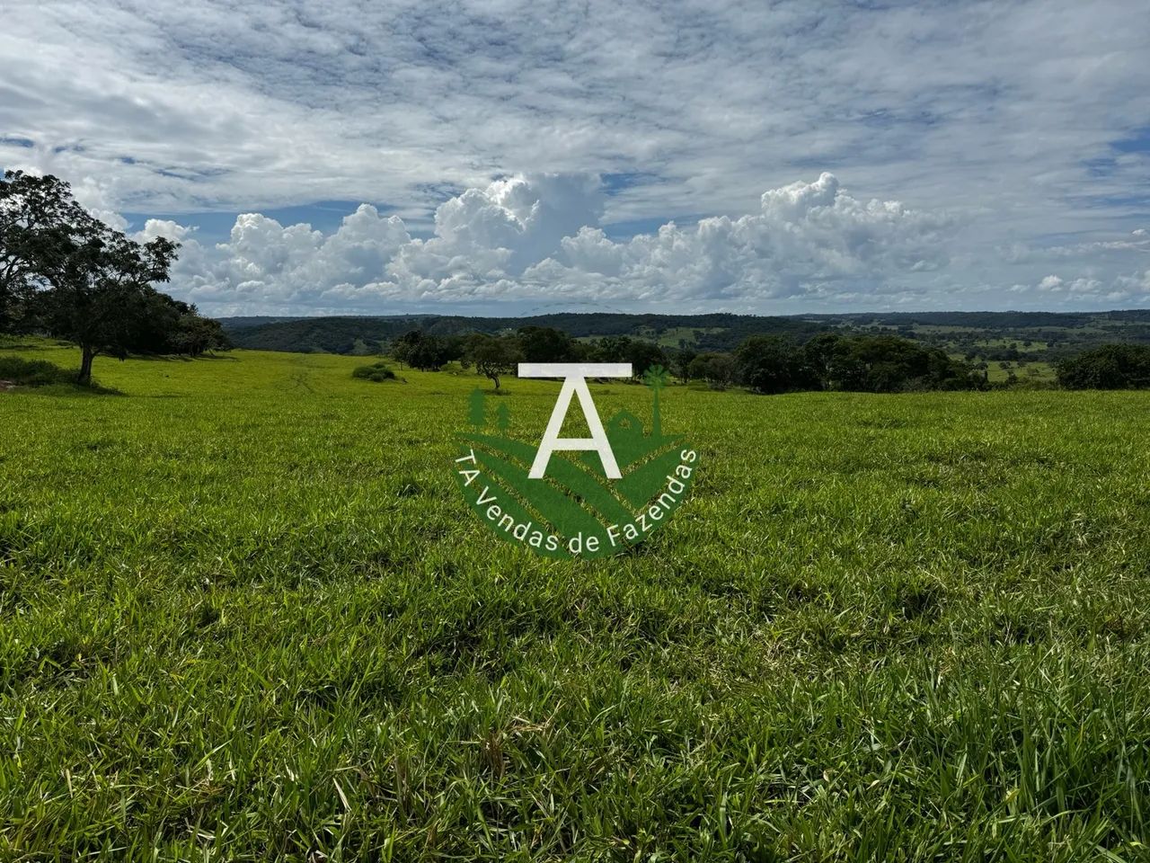 Fazenda de 95 alq em Ipameri-GO - Foto 4