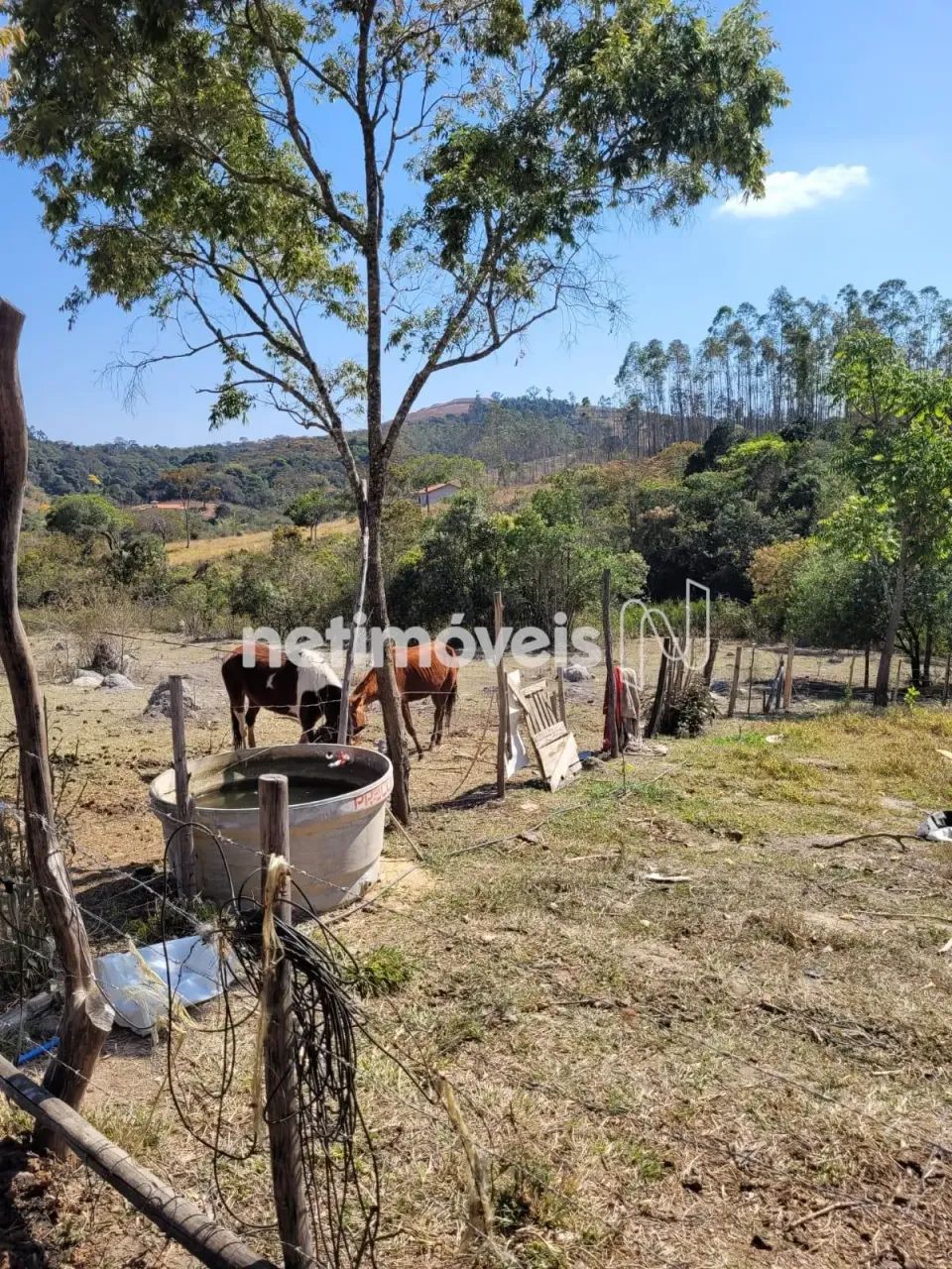Lindo Sítio em Desterro de Entre Rios com 6,5 Hectares - Foto 2