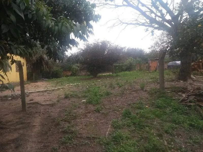 Belo terreno com 2 casas que podem servir para moradia, localizado no bairro Restinga, óti - Foto 3