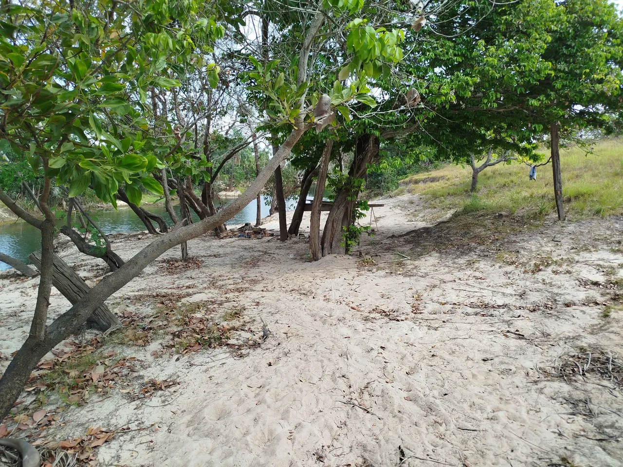 Vendo terrenos para chacara