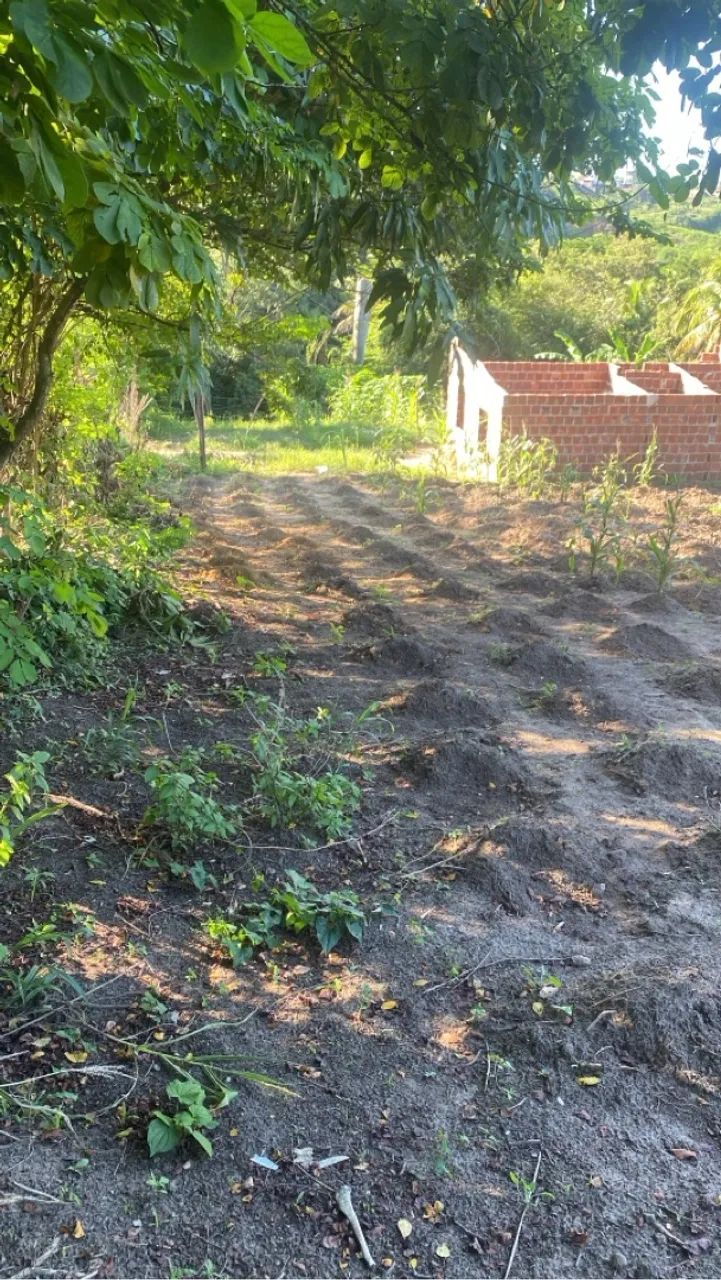 TERRENO 10x30 LOCALIZADO EM IGARASSU - Foto 4