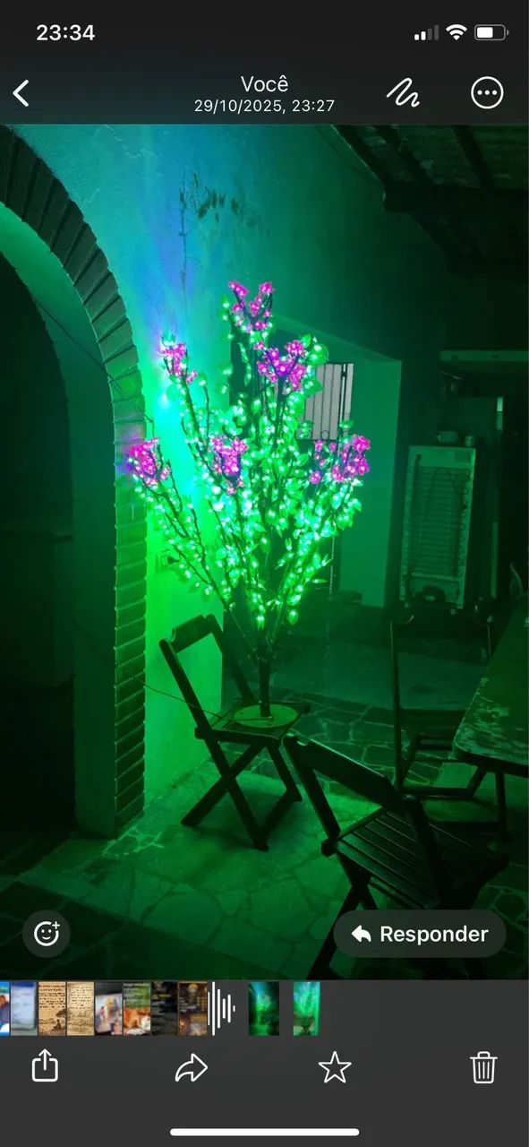 Árvore ? rara de Natal 