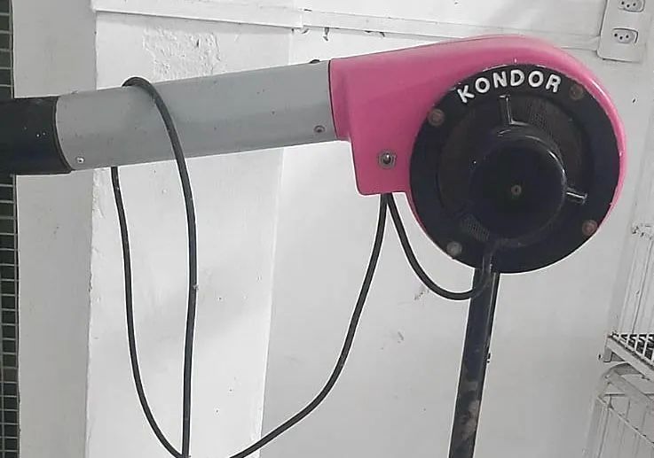 Secador banho e tosa  - Foto 3