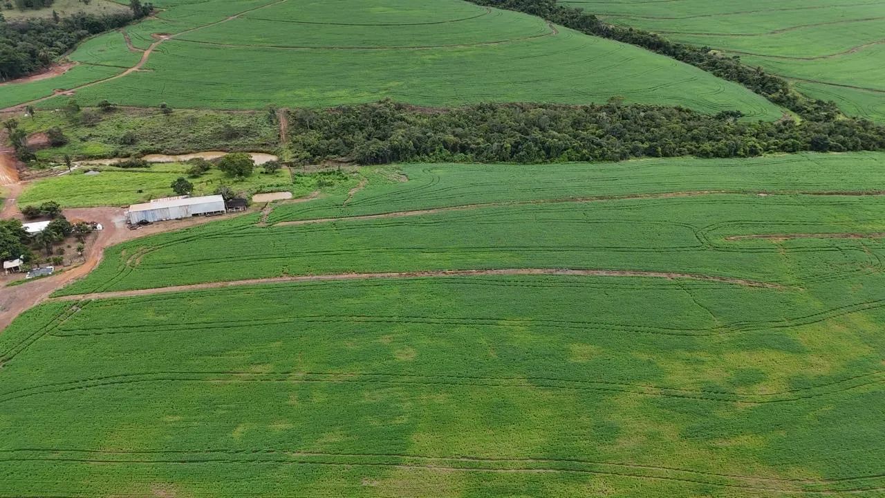 Fazenda de 40 alqueires  - Foto 4