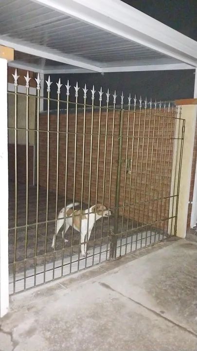 Portão de ferro para área externa