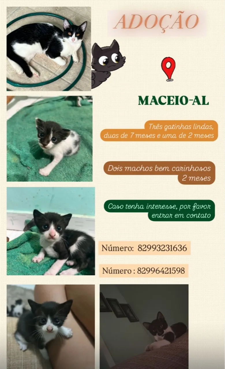 ADOÇÃO