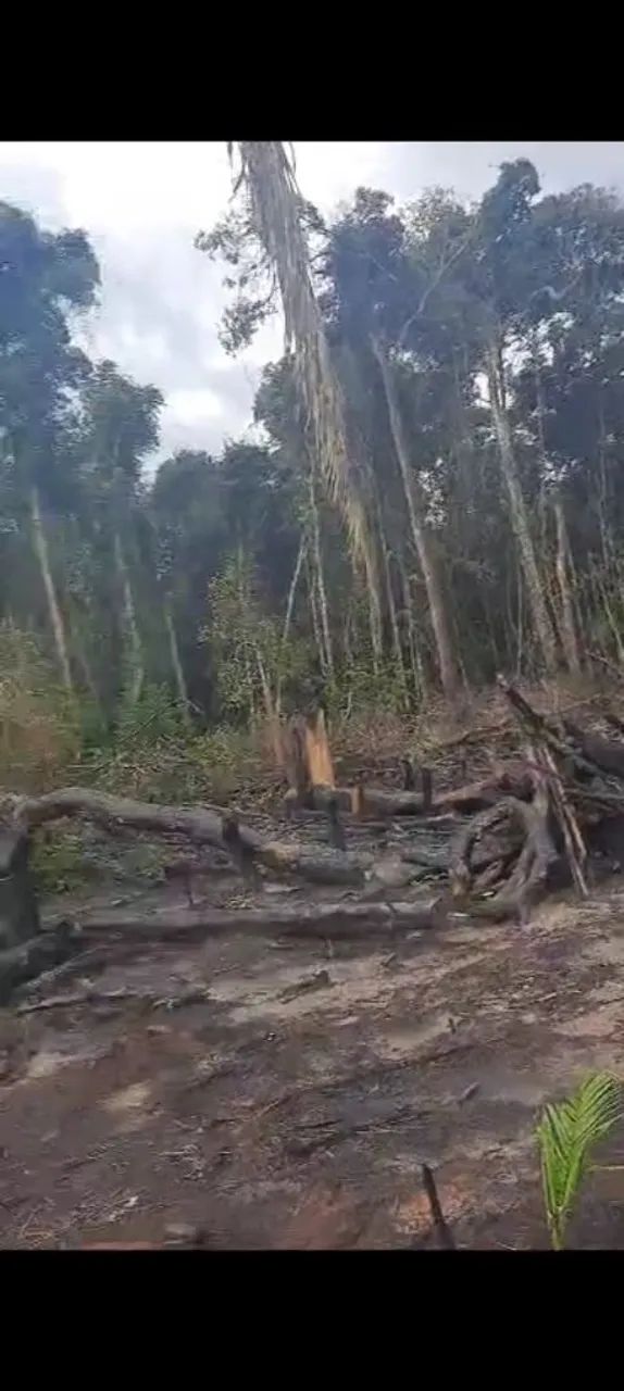 Chácara 50x200m no km17 sentido Humaitá - Foto 2