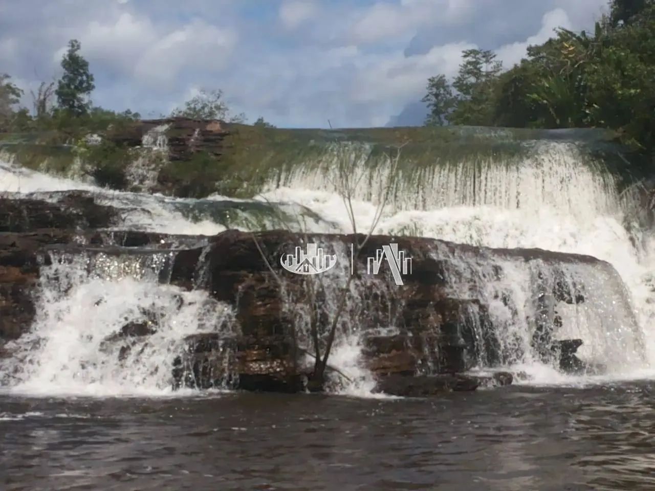 Fazenda à venda, 14520000 m² por R$ 18.200.000,00 - São Francisco - Óbidos/PA - Foto 4