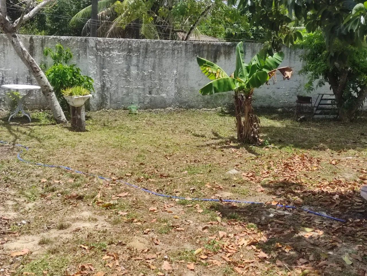 Excelente mini chacara - Foto 4