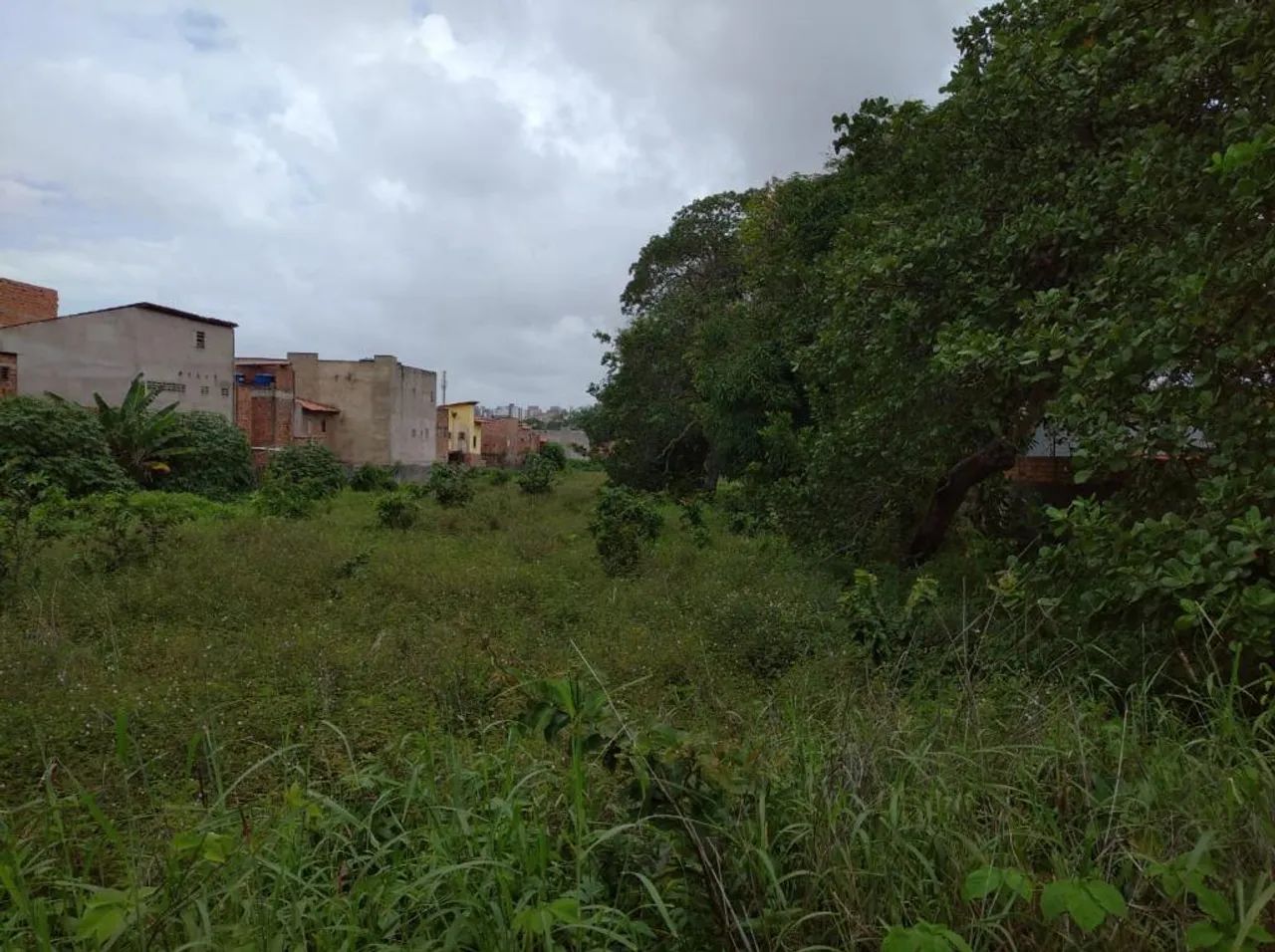 Terreno à venda, 7000 m² por R$ 10.500.000,00 - Calhau - São Luís/MA - Foto 4