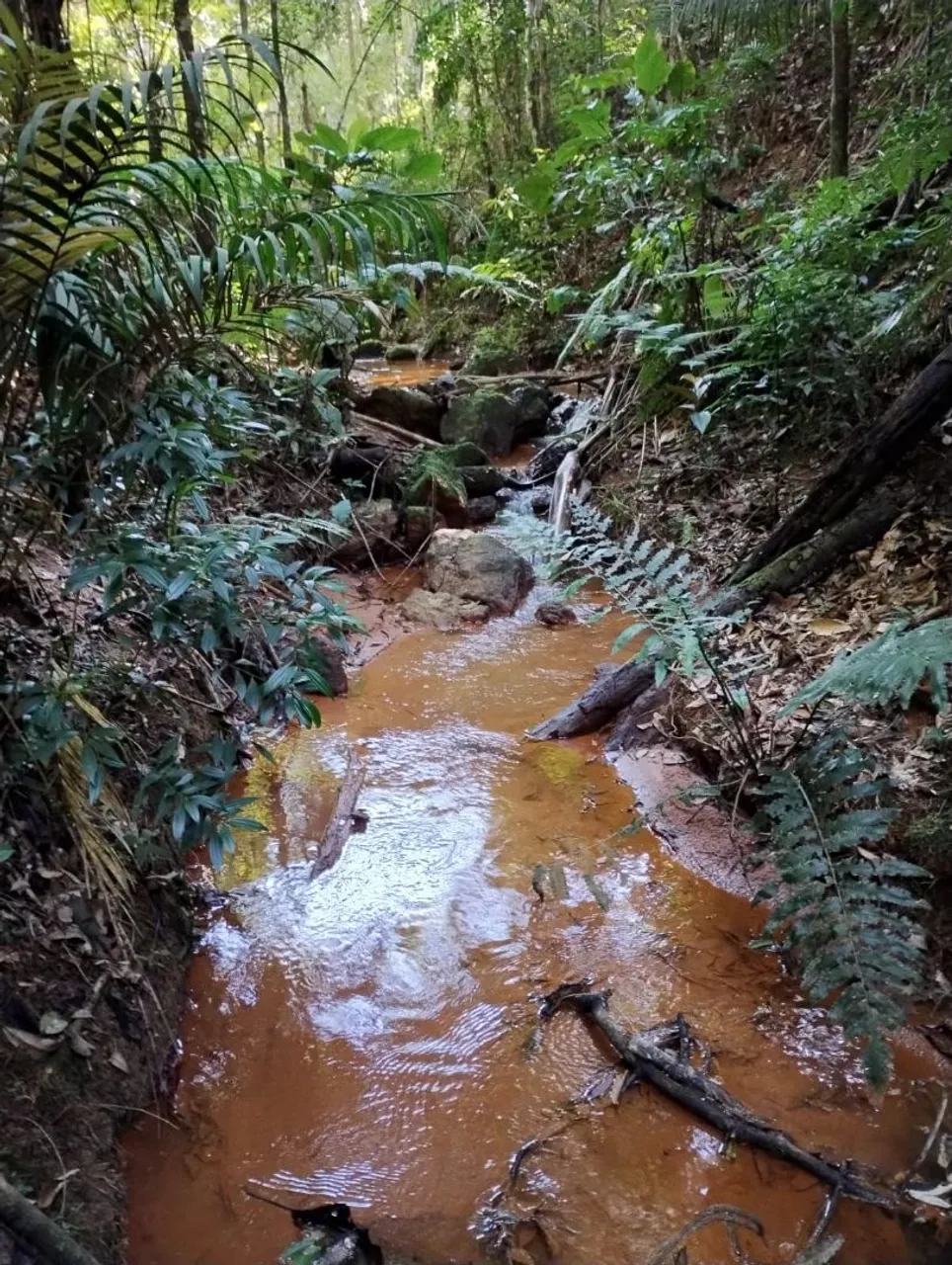 Excelente terreno com 130.000m² Pedra Azul ES.