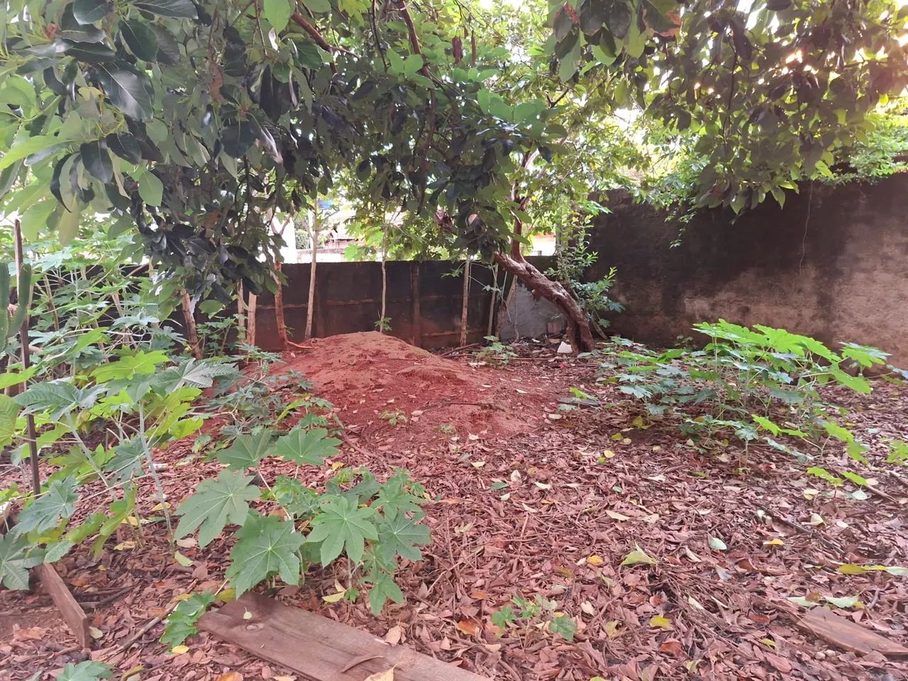 Lote - Jardim América - Foto 3