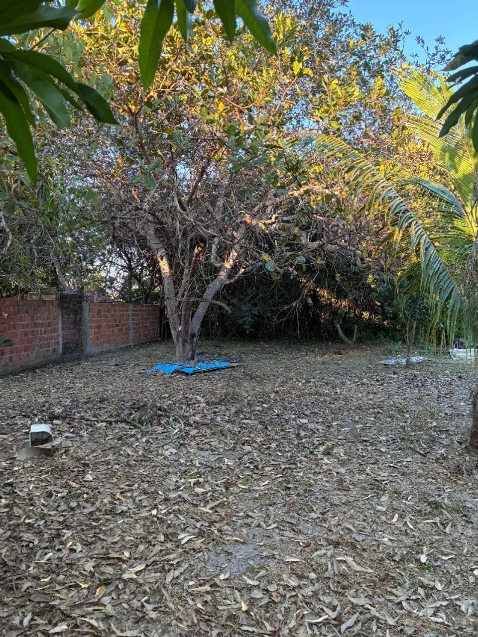 Tereno com casa - Foto 3