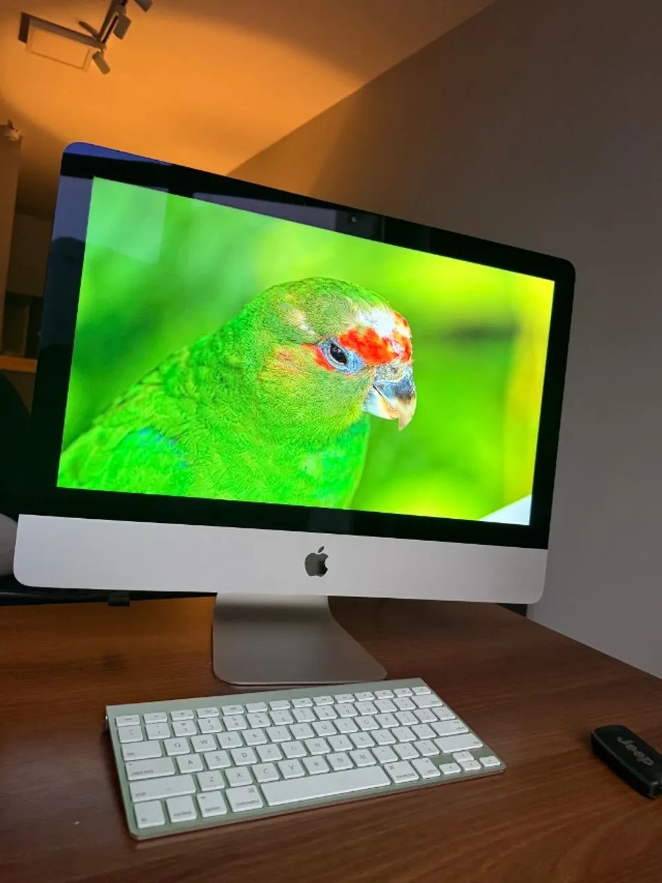 iMac 21,5? ? SSD ? macOS Sequoia ? IMPECÁVEL - Foto 4